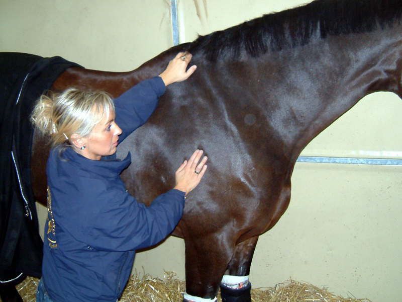 2005-German Classics